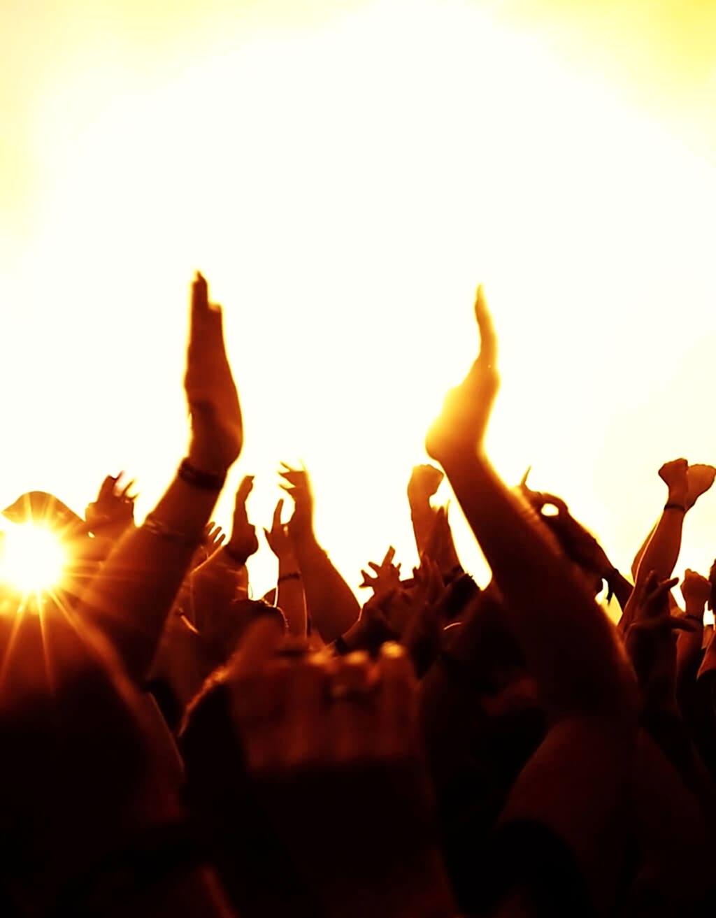 Zirve Organizasyon Avantajları