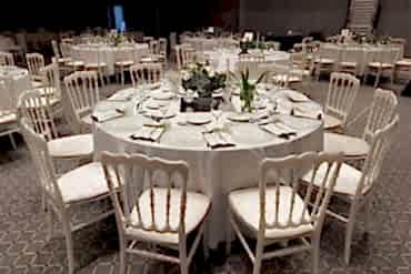 Napolyon Sandalye Kiralama